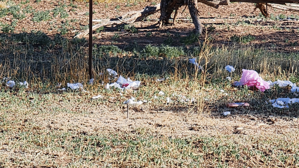 Trash in neighbors' yards